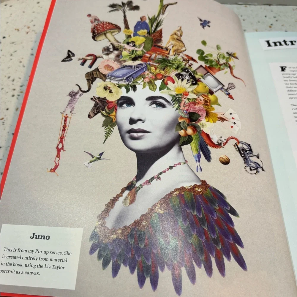 Extraordinary Things to Cut‎ Out and Collage by Maria Rivans – Over 1500 Images